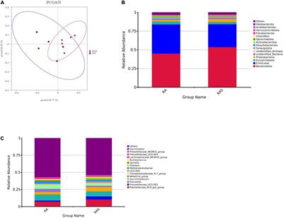 Evaluating Starter Feeding on Ruminal Function in Yak Calves: Combined 16S rRNA Sequencing and Metabolomics